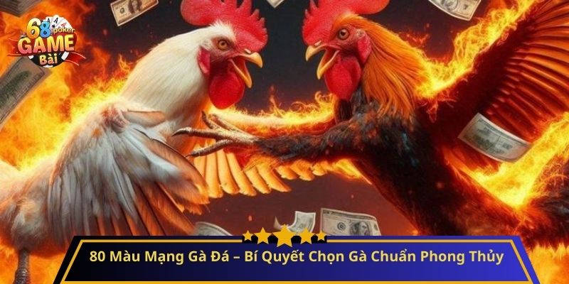 80 Màu Mạng Gà Đá – Bí Quyết Chọn Gà Chuẩn Phong Thủy