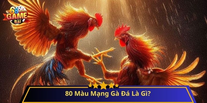 80 Màu Mạng Gà Đá – Bí Quyết Chọn Gà Chuẩn Phong Thủy 2 80 Màu Mạng Gà Đá Là Gì?