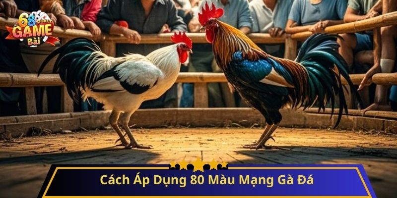 80 Màu Mạng Gà Đá – Bí Quyết Chọn Gà Chuẩn Phong Thủy 4 Cách Áp Dụng 80 Màu Mạng Gà Đá