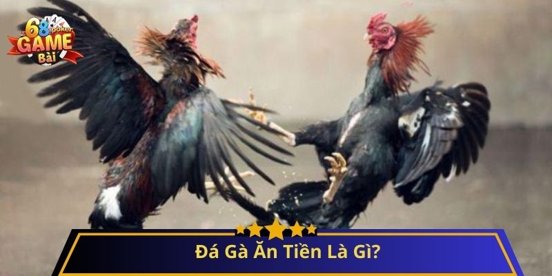 Cách Chơi Đá Gà Ăn Tiền: Hướng Dẫn Chi Tiết Cho Người Mới 2 Đá Gà Ăn Tiền Là Gì?