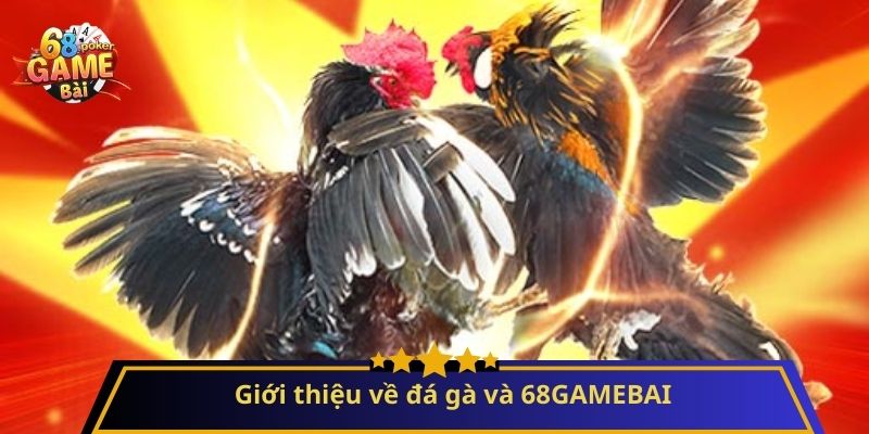 Đá Gà: Hướng Dẫn Chi Tiết và Mẹo Chơi Hiệu Quả 1 Giới thiệu về đá gà và 68GAMEBAI