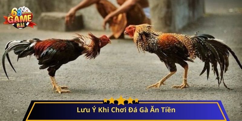 Cách Chơi Đá Gà Ăn Tiền: Hướng Dẫn Chi Tiết Cho Người Mới 4 Lưu Ý Khi Chơi Đá Gà Ăn Tiền