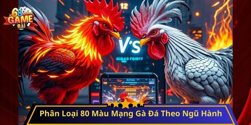 80 Màu Mạng Gà Đá – Bí Quyết Chọn Gà Chuẩn Phong Thủy 3 Phân Loại 80 Màu Mạng Gà Đá Theo Ngũ Hành